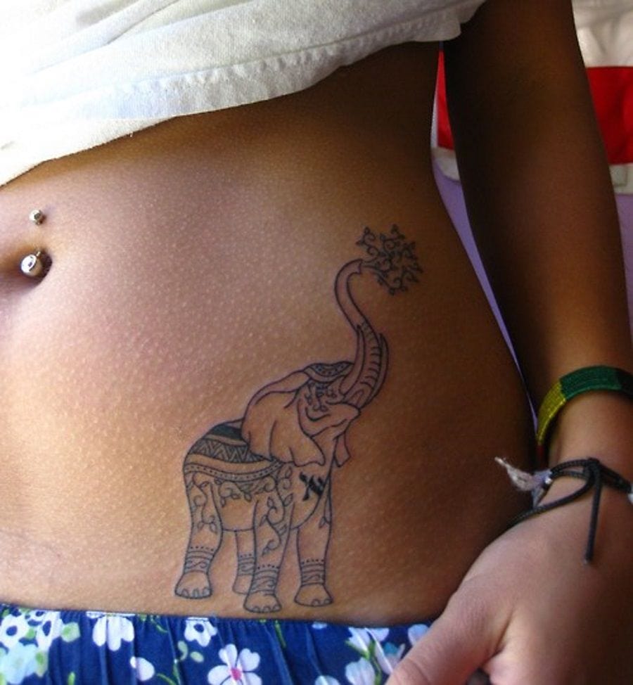 elephant tattoo stomach