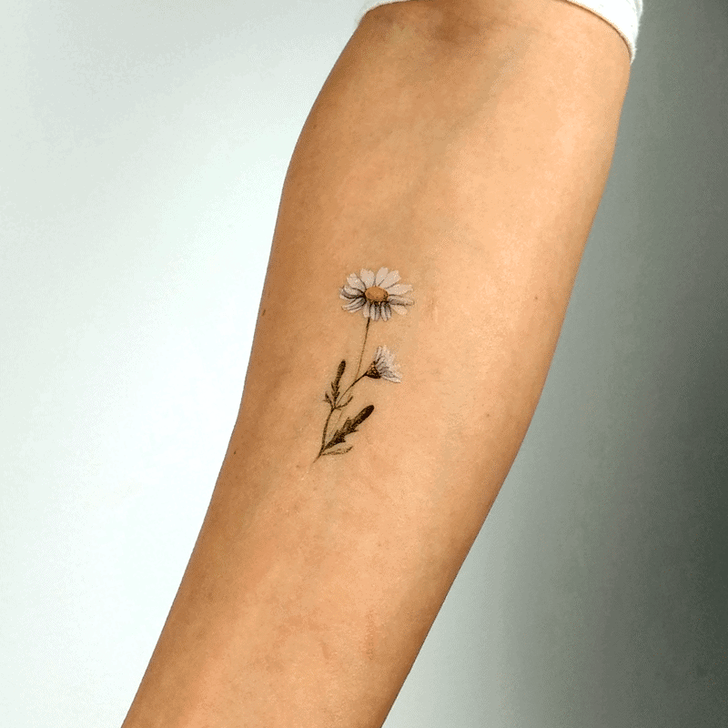 125+ Daisy Tattoo Ideas You Can Go For [+ Meanings] - Wild Tattoo Art